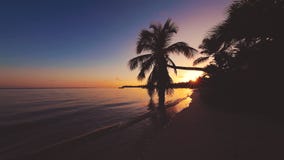Nascer do sol tropical da ilha Folha da palmeira e praia arenosa da ilha V?deo bonito da opini?o do mar video estoque Nascer do sol tropical da ilha Folha da palmeira e praia arenosa da ilha V?deo bonito da opini?o do mar video estoque