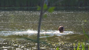 Natación de la mujer joven en un traje de baño en el río almacen de video Natación de la mujer joven en un traje de baño en el río almacen de video