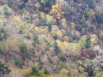 Nationalpark Seoraksan im Herbst, Gangwon, Südkorea lizenzfreies stockbild Nationalpark Seoraksan im Herbst, Gangwon, Südkorea lizenzfreies stockbild