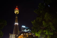 Nattfotografi av ögat för sydney centrepointtorn, sikten från Hyde Park royaltyfria bilder Nattfotografi av ögat för sydney centrepointtorn, sikten från Hyde Park royaltyfria bilder