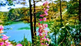Natur royaltyfri bild Natur royaltyfri bild