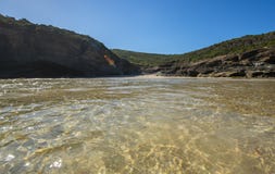 Natur från den härliga stranden i Sydney royaltyfri foto Natur från den härliga stranden i Sydney royaltyfri foto