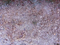 Natura Explotion immagini stock libere da diritti Natura Explotion immagini stock libere da diritti
