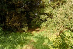 Natura sceniczna i niekt?re relaksuje miejsca zdjęcia stock Natura sceniczna i niekt?re relaksuje miejsca zdjęcia stock