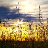 Natura wschód słońca obrazy stock Natura wschód słońca obrazy stock