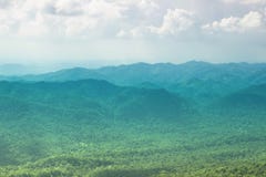 Natural background blurring.warm colors and bright sun light. Green stock photos Natural background blurring.warm colors and bright sun light. Green stock photos
