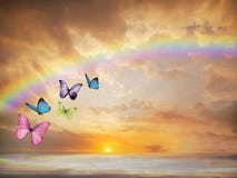 Natural background with butterflies and rainbow in sea reflection