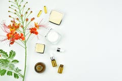 Natural background with copy space for beauty product Royalty Free Stock Photography Natural background with copy space for beauty product Royalty Free Stock Photography