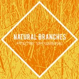 Natural branches vector textured background and eco grunge items for the creation of design banners royalty free illustration Natural branches vector textured background and eco grunge items for the creation of design banners royalty free illustration