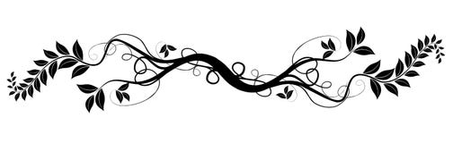 Natural design element vector illustration Natural design element vector illustration