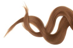 Brown dark hair isolated on white background. Long disheveled ponytail