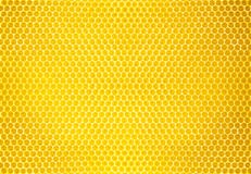 Natural honey comb background or texture