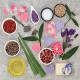 Natural Ingredients for Skin Health Care Royalty Free Stock Photography Natural Ingredients for Skin Health Care Royalty Free Stock Photography