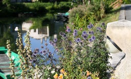 The Poitevin marsh royalty free stock photos The Poitevin marsh royalty free stock photos