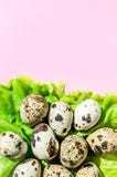 Natural quail eggs on green lettuce salad leaf on pink background. Flatlay, top view, minimal copy space vertical stock photography Natural quail eggs on green lettuce salad leaf on pink background. Flatlay, top view, minimal copy space vertical stock photography
