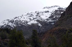 Río Blanco National Reserve, central Chile, a high biodiversity valley in Los Andes Stock Photography Río Blanco National Reserve, central Chile, a high biodiversity valley in Los Andes Stock Photography