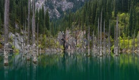 Natural Sight Of South Kazakhstan In Tyan-Shan Mountains - Alpine Kaindy Lake Also Known As Birch Lake Or Underwater Forest.The
