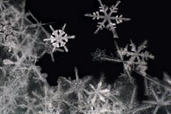 Natural snowflake close-up. Winter, cold. stock photo Natural snowflake close-up. Winter, cold. stock photo