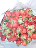Natural strawberries with leaves stock image Natural strawberries with leaves stock image