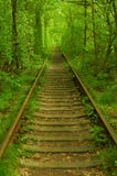 Natural tunnel formed by trees in Ukraine, Klevan called as tun Stock Photos Natural tunnel formed by trees in Ukraine, Klevan called as tun Stock Photos
