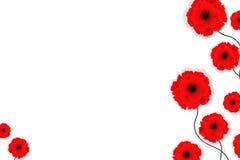 Nature background with red poppies flowers. Vector illustration. Can be used for textile, wallpapers, prints and web design royalty free illustration Nature background with red poppies flowers. Vector illustration. Can be used for textile, wallpapers, prints and web design royalty free illustration