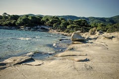 Nature landscape on sunny summer day. Nature concept. Rocky beach washed by waves, sea and green tropical forest on Royalty Free Stock Images Nature landscape on sunny summer day. Nature concept. Rocky beach washed by waves, sea and green tropical forest on Royalty Free Stock Images