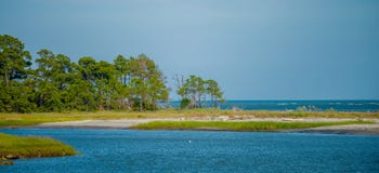 Nature scenes around hunting island south carolina royalty free stock images Nature scenes around hunting island south carolina royalty free stock images