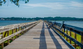 Nature scenes around hunting island south carolina royalty free stock images Nature scenes around hunting island south carolina royalty free stock images