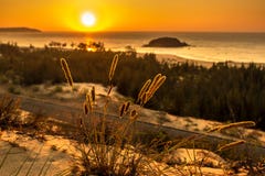 Nature Seascape With View Of Glowing Sun Through A Wild Bush At Gorgeous Orange Sunrise Stock Photography Nature Seascape With View Of Glowing Sun Through A Wild Bush At Gorgeous Orange Sunrise Stock Photography