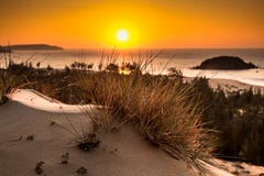 Nature Seascape With View Of Glowing Sun Through A Wild Bush At Gorgeous Orange Sunrise Stock Images Nature Seascape With View Of Glowing Sun Through A Wild Bush At Gorgeous Orange Sunrise Stock Images