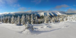 Bright winter day in the mountains stock photos Bright winter day in the mountains stock photos