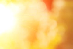 Nature sunny abstract summer background with sun and bokeh. Autumnal natural background blurring with sun rays