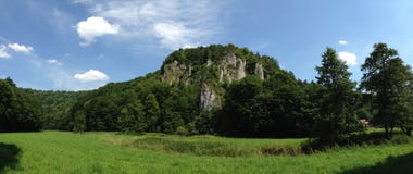 Nature, Vegetation, Ecosystem, Nature Reserve royalty free stock photography Nature, Vegetation, Ecosystem, Nature Reserve royalty free stock photography