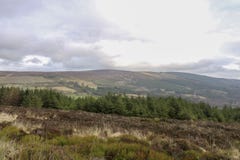 Natureza e paisagens bonitas da Irlanda foto de stock Natureza e paisagens bonitas da Irlanda foto de stock