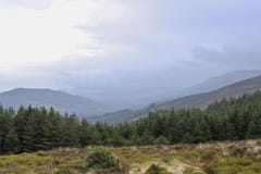 Natureza e paisagens bonitas da Irlanda foto de stock Natureza e paisagens bonitas da Irlanda foto de stock