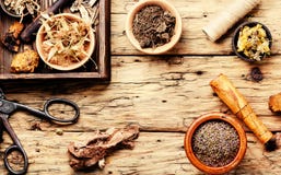 Naturlig medicin, örter och växt arkivbild Naturlig medicin, örter och växt arkivbild