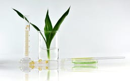 Naturlig organisk botanik och vetenskaplig glasföremål, alternativ örtmedicin, naturliga skönhetsprodukter för hudomsorg fotografering för bildbyråer Naturlig organisk botanik och vetenskaplig glasföremål, alternativ örtmedicin, naturliga skönhetsprodukter för hudomsorg fotografering för bildbyråer