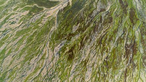 Naturliga former och modeller i Bonne Anse skäller fotografering för bildbyråer Naturliga former och modeller i Bonne Anse skäller fotografering för bildbyråer