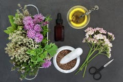 Natuurlijke Kruidengeneeskundevoorbereiding stock foto Natuurlijke Kruidengeneeskundevoorbereiding stock foto