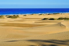 Natuurlijke Reserve van Duinen van Maspalomas, in Gran Canaria, Spanje stock afbeelding Natuurlijke Reserve van Duinen van Maspalomas, in Gran Canaria, Spanje stock afbeelding