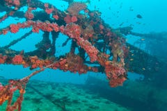 Naufragio nel blu di oceano, Maldive fotografie stock libere da diritti Naufragio nel blu di oceano, Maldive fotografie stock libere da diritti