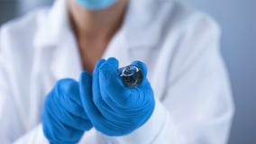 Naukowiec wypełnia medycznego strzykawki ampułki ciecz, laboratorian probiercza medycyna fotografia stock Naukowiec wypełnia medycznego strzykawki ampułki ciecz, laboratorian probiercza medycyna fotografia stock