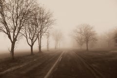 Nebbia della strada campestre, alberi Fotografia Stock Libera da Diritti Nebbia della strada campestre, alberi Fotografia Stock Libera da Diritti