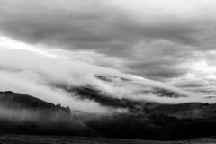Nebel, der einige Berge und Bäume bedeckt stockfotos Nebel, der einige Berge und Bäume bedeckt stockfotos