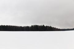 Nebel im Winter stockbild Nebel im Winter stockbild