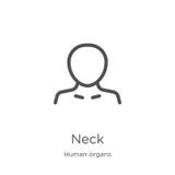neck icon vector from human organs collection. Thin line neck outline icon vector illustration. Outline, thin line neck icon for vector illustration neck icon vector from human organs collection. Thin line neck outline icon vector illustration. Outline, thin line neck icon for vector illustration