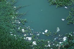 Neem nota van het groene water royalty-vrije stock afbeeldingen Neem nota van het groene water royalty-vrije stock afbeeldingen