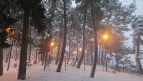 neige photo stock neige photo stock