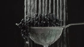Nel video vediamo l'uva in un setaccio, caduta dell'acqua dalla cima nelle singole fermate dei getti poi, fondo nero video d archivio Nel video vediamo l'uva in un setaccio, caduta dell'acqua dalla cima nelle singole fermate dei getti poi, fondo nero video d archivio