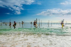 Nello Sri Lanka, un pescatore locale sta pescando nello stile unico nella sera fotografia stock Nello Sri Lanka, un pescatore locale sta pescando nello stile unico nella sera fotografia stock